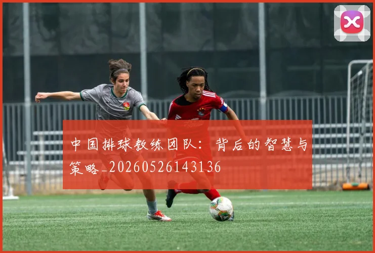 中国排球教练团队：背后的智慧与策略_20260526143136