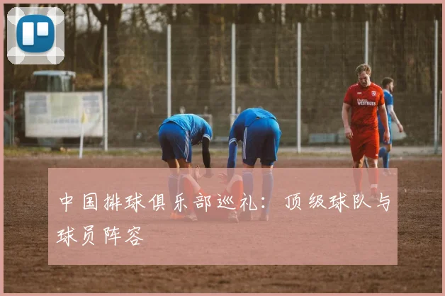 中国排球俱乐部巡礼：顶级球队与球员阵容