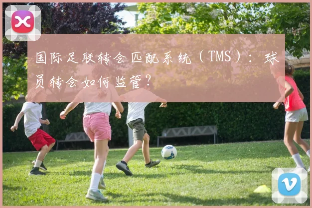 国际足联转会匹配系统（TMS）：球员转会如何监管？