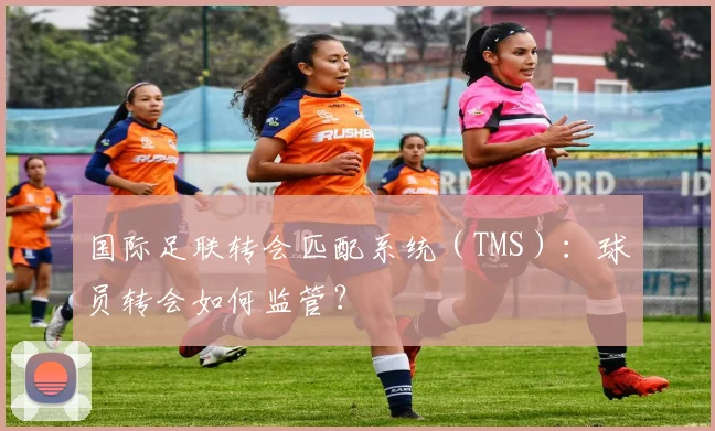 国际足联转会匹配系统（TMS）：球员转会如何监管？